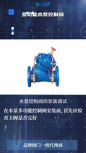多功能水泵控制阀的安装调试。