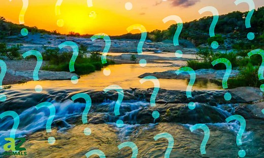 Where Does the Mississippi River Start? Discover the River's Origin!