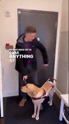 Mr Maple is not just a pet, he’s Paul’s guide dog. Paul was diagnosed with a rare eye disease when he was 16 years old. He used a white cane for several years before receiving his first guide dog from Guide Dogs for the Blind exactly one year ago. Mr Maple has made a huge difference in both of our lives! Guide Dogs for the Blind offers fully trained guide dogs for visually impaired people at NO COST — including vet bills for life (even when it retires). Amazing, right? We can’t think of a better