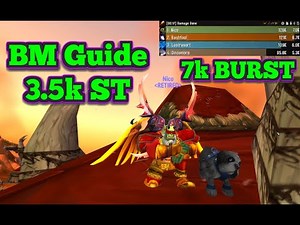 Ascension Reborn - Hunter - BM Guide!