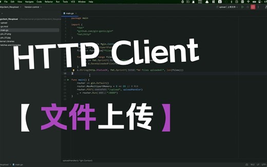 【教程】IntelliJ IDEA HTTP Client 工具使用教程，文件上传