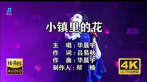 总也寻不得～《小镇里的花》（多调和声伴奏）