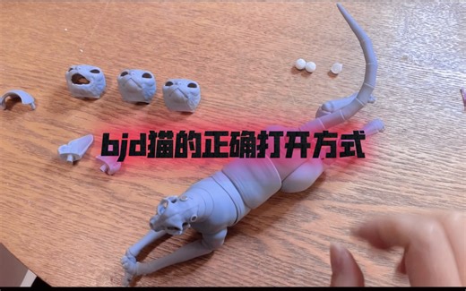 bjd猫的正确打开方式