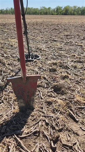 4.4K views · 151 reactions | Short little hunt this evening ... #metaldetecting #metaldetector | I Dig History | Facebook