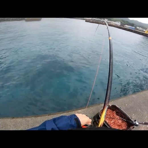 離島の堤防湾内を徘徊する巨大化した魚を釣り上げる！｜伊豆諸島 神津島｜本編#35