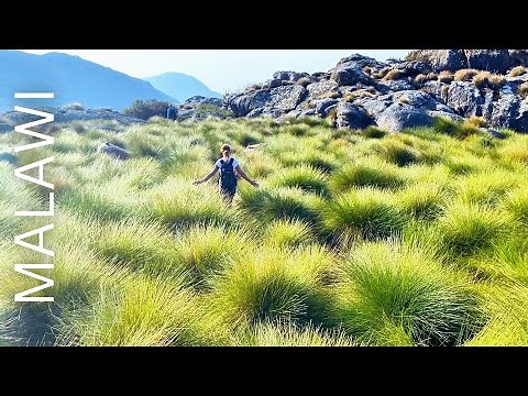 Epic 5-Day Adventure Hike on Malawi’s Highest Mountain | Mount Mulanje