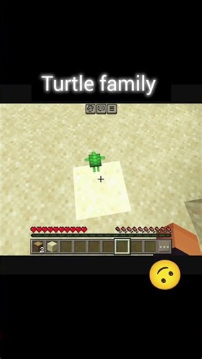 Minecraft turtle family...