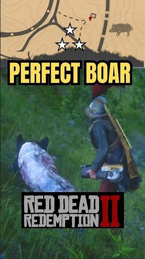 RDR2: Perfect Boar Hunt | #rdr2 #reddeadredemption2 #gaming