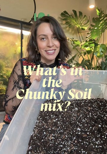 Chunky Soil Mix Recipe for Houseplants (Measured Ratios)
