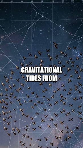 Starlight Whispers to the Living Code