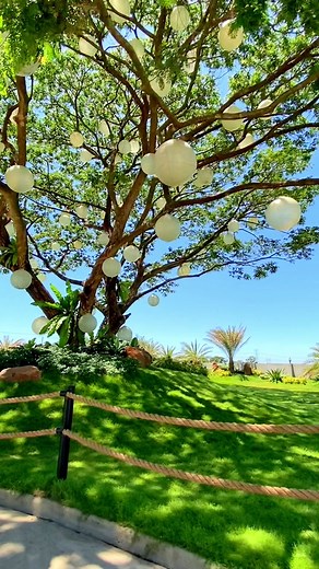 Experience the Delightful Dining at Jab’s Café in Talavera