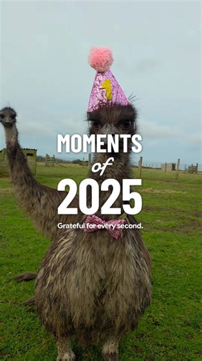 Recap of Smallholding Life in 2025