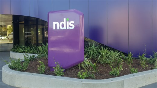 Former Liberal MP Nicolle Flint calls for a structural overhaul of the NDIS after staff submit invoices for serviettes. | Sky News Australia