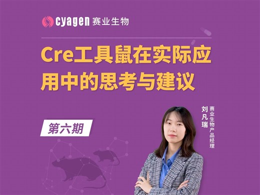 案例解析：实际应用中如何选择合适的Cre工具鼠？
