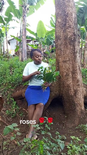 422 reactions · 52 comments | ##hapiness lazima .@ Caroline the actress. | Caroline W Mungai | Facebook