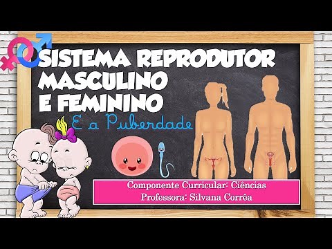 SISTEMA REPRODUTOR MASCULINO E FEMININO PUBERDADE/ADOLESCENCIA - 8ANO ENSINO FUNDAMENTAL - CIÊNCIAS