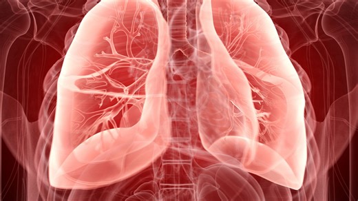 Japanese scientists turn mouse cells into lung cells in just 10 days