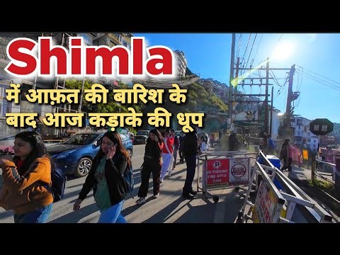 Shimla में मौसम ने बदला करवट | Shimla Himachal Pradesh #Shimlaweatherupdate #travelevergreen