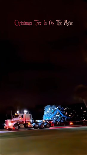 819K views · 9.9K reactions | “What’s this?  The magic of Christmas is arriving overnight at Walt Disney World! The tree is on the move, decorations are coming to life, and before you know it, the lights will be twinkling all across the park. Holiday dreams really do come true here! ✨ #WaltDisneyWorld #DisneyChristmas #disneyparks #disneyholidays #wdw | Disney World Tom | Facebook