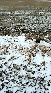 Катерина Адамковича on TikTok