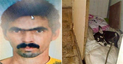 Cuban activists condemn the release of an animal abuser detained in Cienfuegos