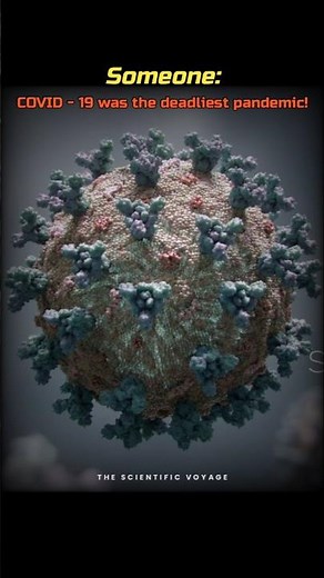 The most deadly Pandemics in History! ☠️