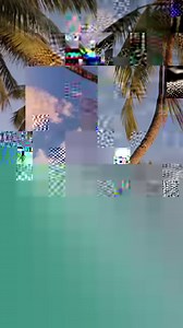 310K views · 218 reactions | Meet the Fanning Slide. Featuring total cushioning, an airbagged heel, and our iconic built-in bottle opener to always save the night or day. | Reef | Facebook