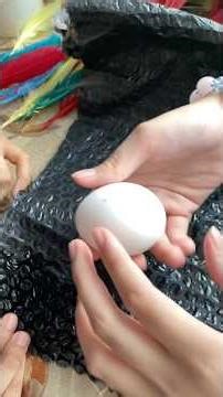 The Drop Egg Experiment | 1st Trial #experiment