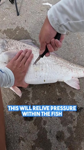 Stabbing Fish for Life: A Unique Angler's Approach