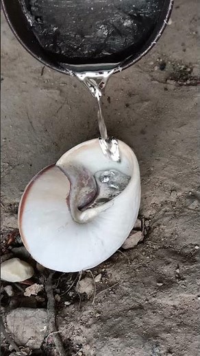 DIY Copper Snail: Beginner's Guide to Metal Casting #shorts #viralvideo #restoration #reels