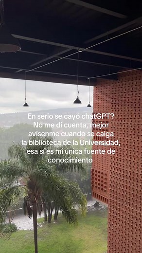 ¿Se cayó ChatGPT? Reacciones y humor desde la universidad