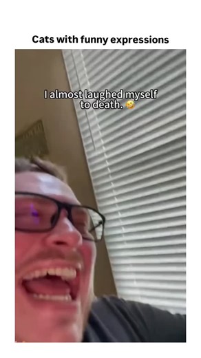 One Minute Cat on Instagram: "Cats can jump up to 6× their body length, sleep for nearly 70% of their lives, and still find the energy to rule the house like tiny emperors 😼 They don’t meow at other cats—mostly at humans. Their purrs can reduce stress, lower blood pressure, and yes… they know exactly what they’re doing when they knock things over. Every cat is a mix of science, chaos, and pure cuteness. Watch closely—this is peak feline behavior in action. 🐾✨ #cats #catfacts #didyouknow #caten