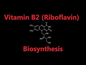 Vitamin B2 (riboflavin) Biosynthesis