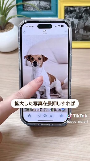 iPhoneで簡単に写真合成する方法✨