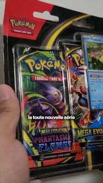 Mega Evolution gros bug