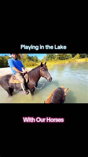 6.2K views · 285 reactions | This lake is perfect for the horses! I WISH I would have brought my swim suit. | Free Spirit Equestrian | Facebook