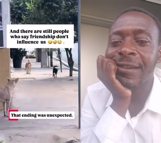 we have some friends who influence us | Freddy Mutasa