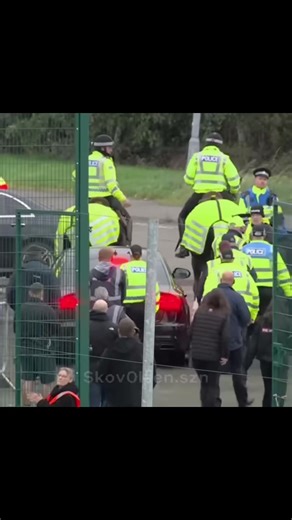 Danny Rohl's Impact on Rangers FC