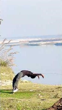 back handspring tutorial step by step learn learn