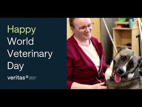 Celebrating World Veterinary Day