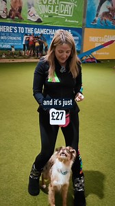 Is your dog constantly distracted by squirrels, cars, and other dogs? The struggle for their attention is not just frustrating but also stressful, turning every walk and daily interaction into a challenge. You love your dog, but their behaviour is straining your bond and leaving you feeling helpless and overwhelmed. You deserve a joyful, stress-free relationship with your dog, free from the frustration of constant distractions. Imagine having a dog that stays focused on you, no matter what’s hap