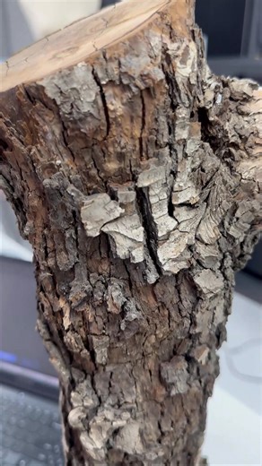 💯3DMakerpro Moose 3D scanner would be your best choice to start 3D scanning ✅Up to 0.03mm Accuracy: Acquire high-quality 3D models ✅Beginner Friendly: rarely losing tracking with AI algorithm ✅Free Life-time OTA Software ✅24 Bit True Color Reveal ✅ Compatible with 3D printers and design softwares Get yours👇👇https://bit.ly/4gcbOL1 | 3DMakerpro