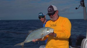 121K views · 1.1K reactions | Key West Fishing: Inshore, Backcountry and the Great Blue Florida Strait fla-keys.com/key-west [Sponsored] | Sport Fishing Magazine | Facebook