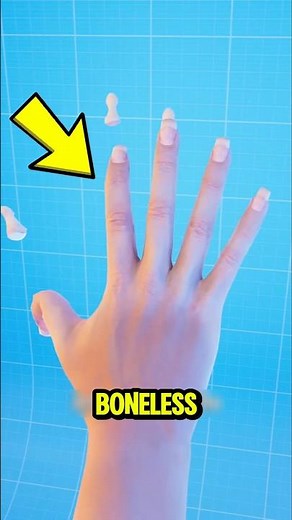 Can You Live Without Bones?