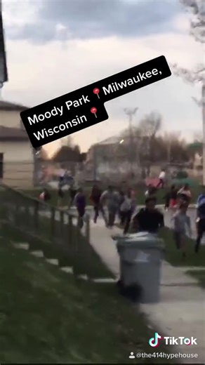 Yorkie Puppies for Sale in Milwaukee, Wisconsin