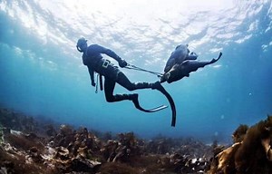 7 Best Dive Stringers for Spearfishing in 2023