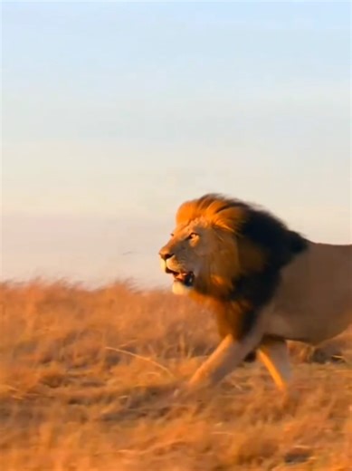 ##Discovery #unattedkingdoomtiktok #interesting #forupage #foryou