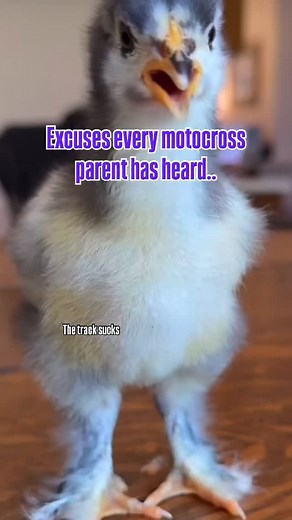 Kids… @sammi.simpson @maddimoto @ryan.simpson.224 #motocross #dirtbike #motorcycle #moto #supercross #motocrosslife #motocrosskids #kidsstyle | Russ Simpson