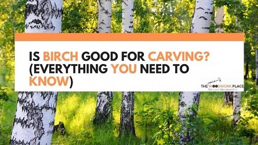 Is Birch Good For Carving? (Everything You Need To Know)