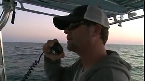 Tagging Great Whites